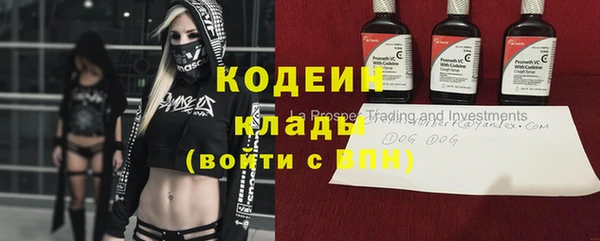 сатива Кодинск