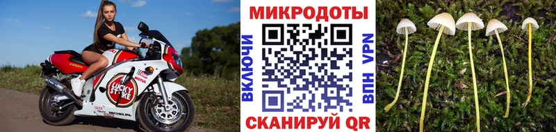 Купить  Сорск  Псилоцибиновые грибы Psilocybine cubensis 