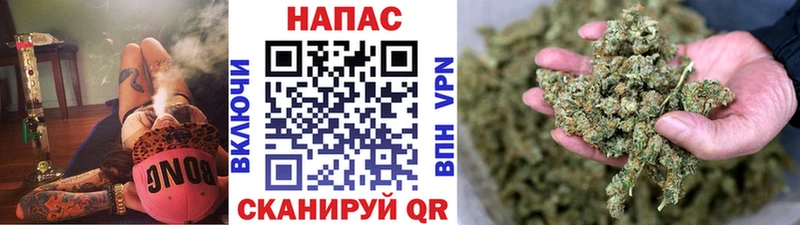 Бошки Шишки Ganja  Купить закладки  Сорск 